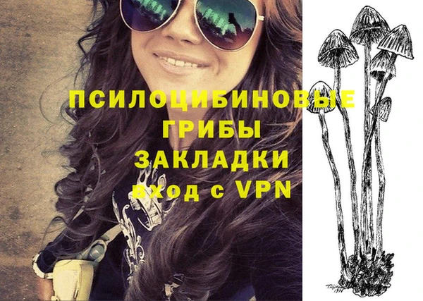 PSILOCYBIN Осташков