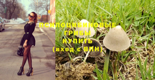 PSILOCYBIN Осташков