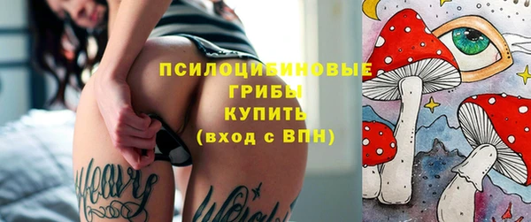 мет Осинники